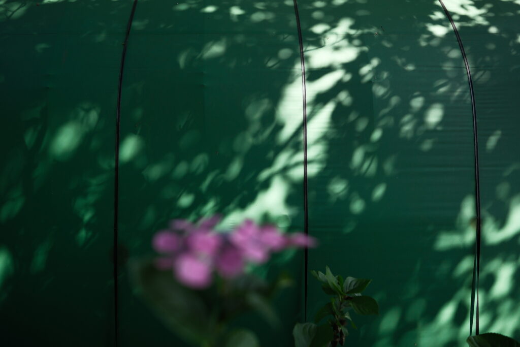 XF18mmF1.4の滑らかなボケ感が分かる作例写真