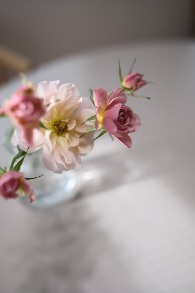 XF18mmF1.4の立体感が伝わる作例、REALA ACEで撮影