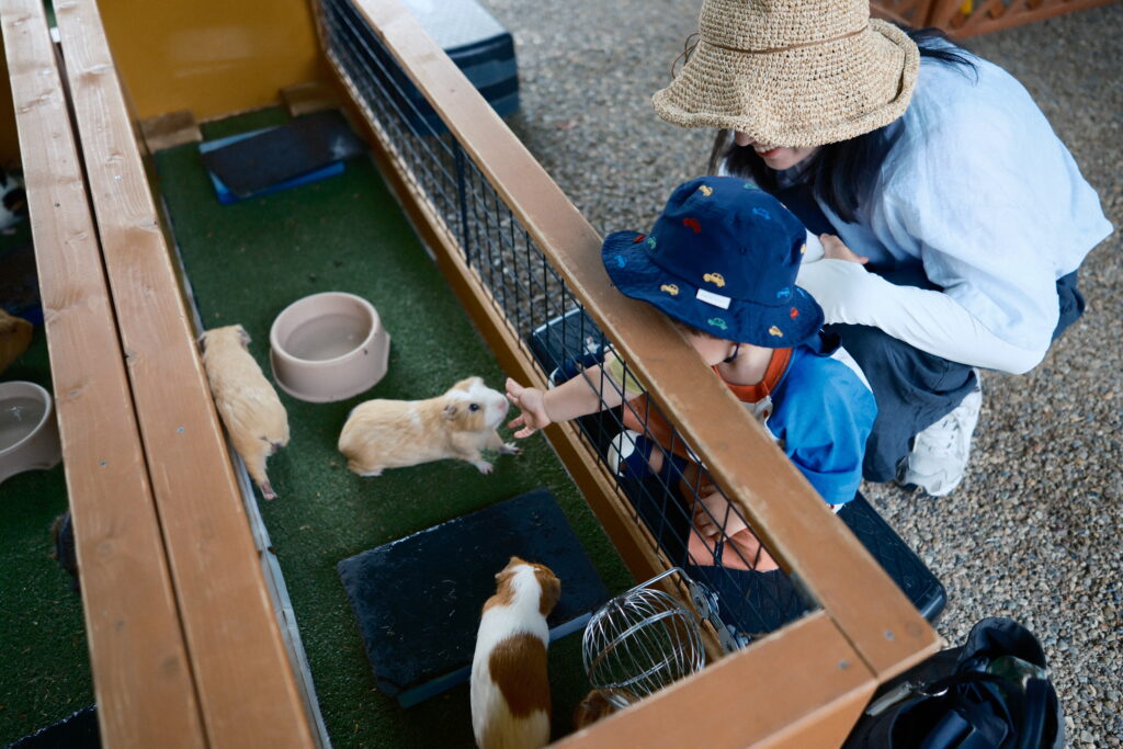 岐阜オアシスパークで動物と触れ合う息子